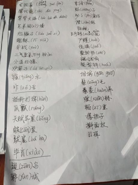 中国汉字听写大会决赛，中国汉字听写大会决赛名单揭晓