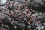 黄花塘事件(雨季来临，南京黄花塘水质调查惊人，引起关注！)