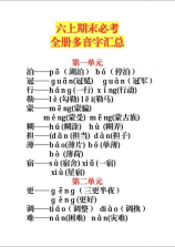 本草减肥：追寻传统草药营养之源